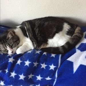 Meet your Posher, Lynne